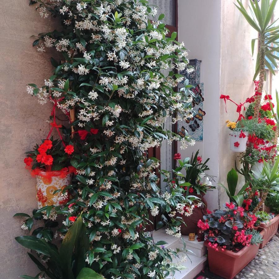Rosa Dei Venti Levanto